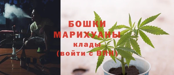 первитин Новодвинск
