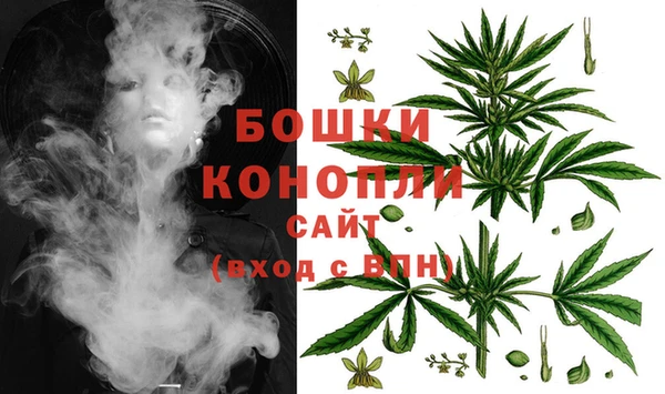 гидра Новозыбков