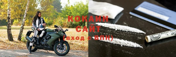 гидра Новозыбков