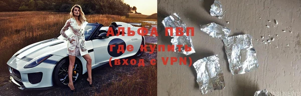 гидра Новозыбков