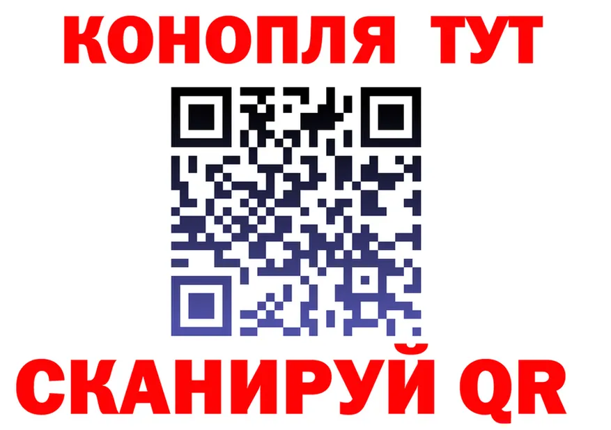 A PVP СК зеркало маркетплейс OMG Аргун