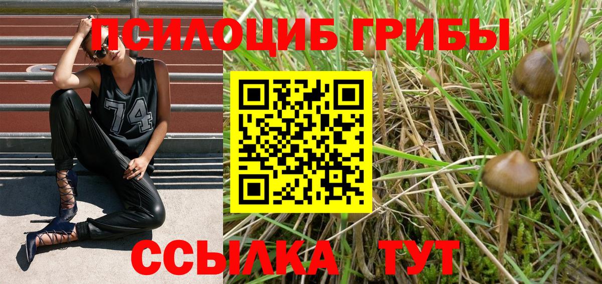 Псилоцибиновые грибы Psilocybe  Вход с VPN  Аргун 